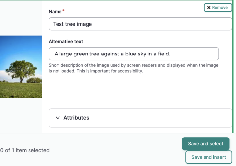 Screenshot of the image selection screen.