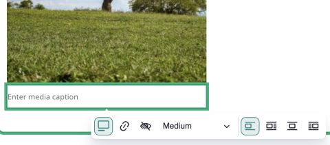 Caption text field.