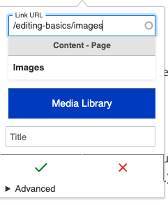 Mini media browser pop up searching for content
